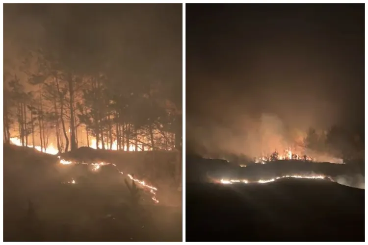 VIDEO Incendiu ca în filme lângă Băișoara! Pompierii clujeni au avut 12 solicitări în doar 3 ore