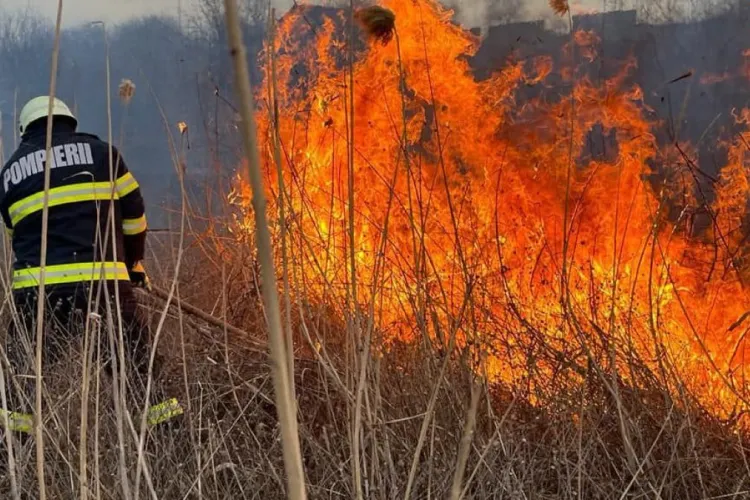 Numărul de incendii din Cluj, mult mai mare ca anul trecut. Pompierii au avut peste 90 de intervenții în ultimele trei zile
