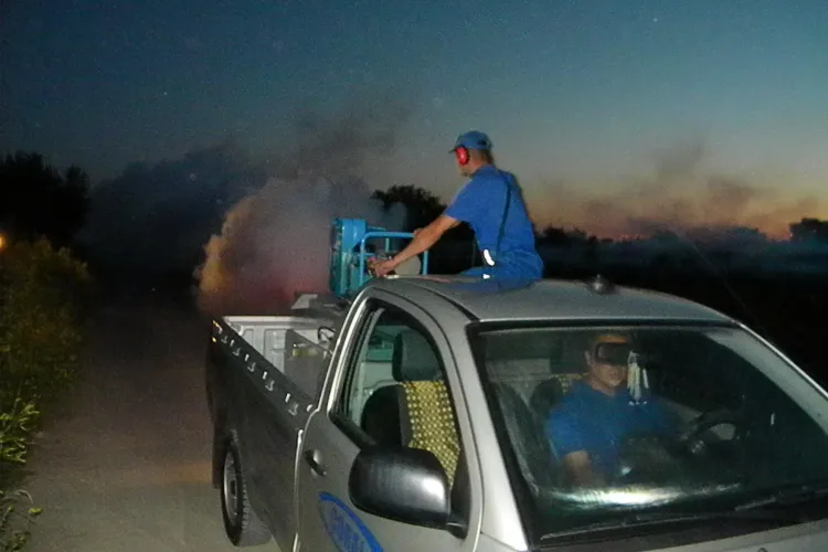 Coral Impex domina piata serviciilor de deratizare, dezinfectie si dezinsectie din Cluj VIDEO si FOTO (P)