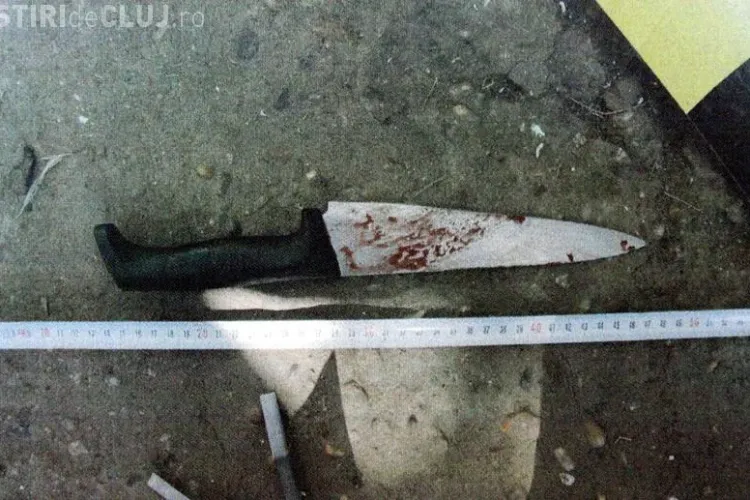 Omor la Mintiul Gherlii. Un batran de 68 de ani si-a omorat fratele de 70 de ani VEZI FOTO