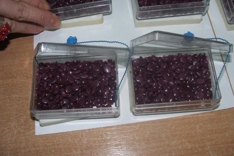 6.421 de rubine, scoase la vanzare de Finantele Cluj! VEZI cum arata pietrele pretioase FOTO