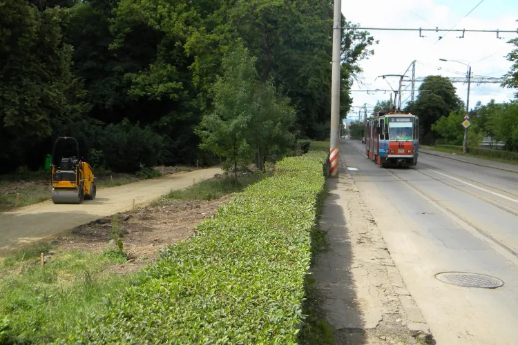 Satena din PSD, Aurelia Cristea, a comis-o din nou. Primaria Cluj: PSD a confundat pista de biciclisti din Parcul Central cu linia de tramvai FOTO