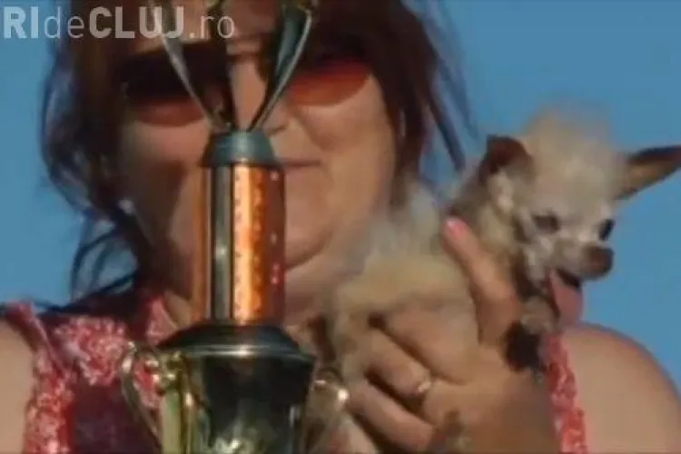 Vezi care e cel mai urat caine din lume - VIDEO