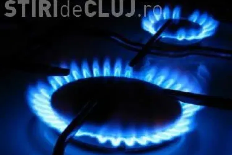 Pretul gazelor naturale pentru agentii economici creste cu 10% de la 1 iulie