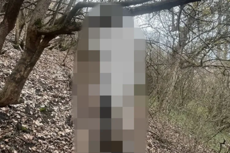 Cluj- Cutremurător: Cățelușă gestantă ucisă cu cruzime într-o pădure. Vă avertizăm că articolul conține imagini ce vă pot afecta emoțional 