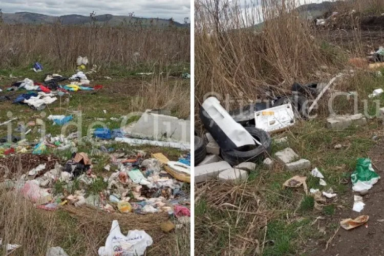Oamenii din alt județ caută cu disperare soluții la Cluj pentru a scăpa de mormanele de gunoaie: „Îți vine să vomiți, dar nimeni nu face nimic” FOTO/VIDEO