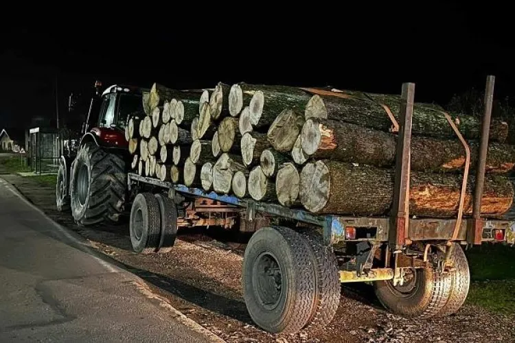 Mafia lemnului face ravagii la Cluj! Un bărbat a furat la greu din pădurea unei comune. Prejudiciul depășește 65.000 de lei