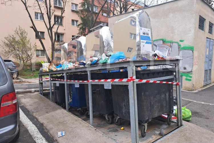 A venit primăvara la Cluj! Chiar și tomberoanele subterane au răsărit din pământ precum ghioceii - FOTO 