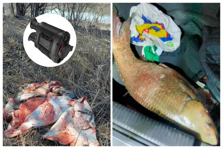 Ziua, primăriță – noaptea, polițist! Primărița războinică din Apahida, Cristina Belce, a prins personal braconierii, „înarmată” cu binoclu cu termoviziune