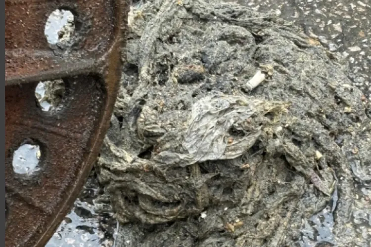 ,,Comori” găsite în canalizarea din Cluj! Mulți clujeni încurcă toaleta cu tomberonul și aruncă tot ce prind - FOTO 