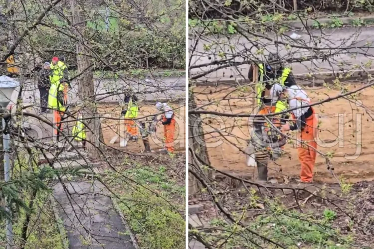 Pauzele lungi și dese – cheia marilor proiecte de la Cluj! Muncitorii din Gheorgheni redefinesc munca: unul lucrează, șapte stau și se uită VIDEO