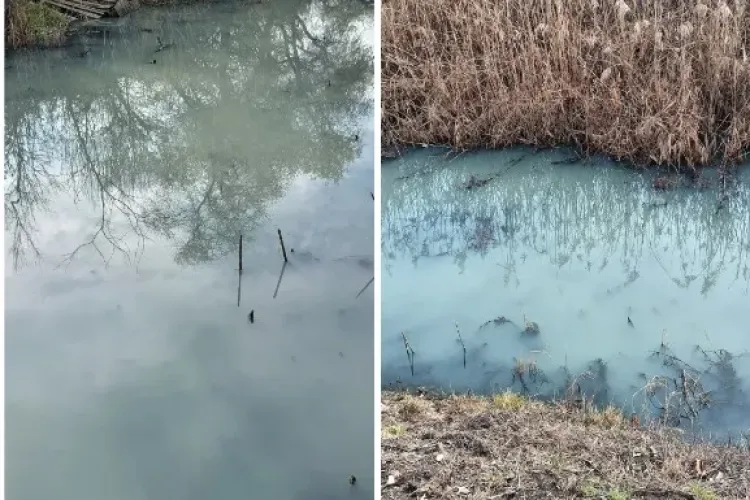 FOTO. Primăvară cu miros de CANALIZARE în comuna Apahida din Cluj! Locuitorii se plâng din NOU de deversările din fosele septice: „Dormim cu geamul închis”