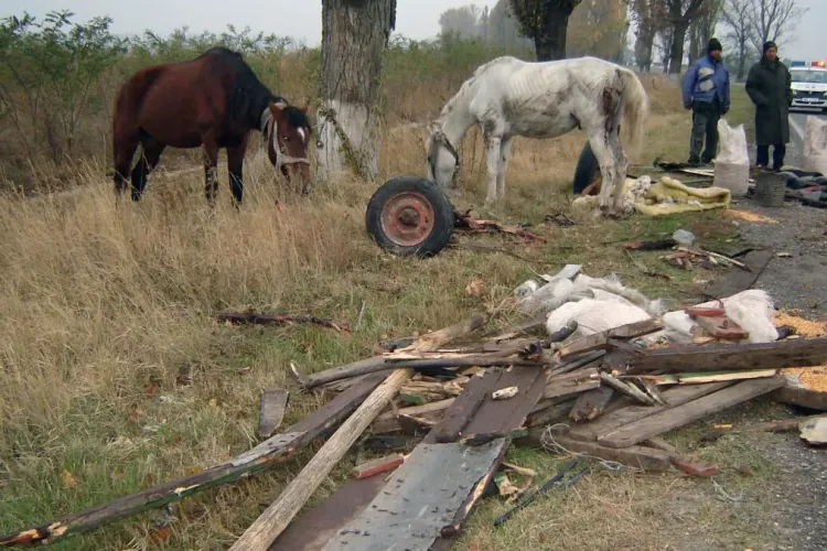 Opt minori, între 1 și 14 ani, implicați într-un accident! Căruța în care se aflau a fost spulberată de un camion