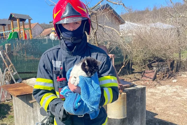 Pisicuță salvată de pompieri! A rămas blocată într-o fântână de trei metri / S-a întors teafără în brațele proprietarilor