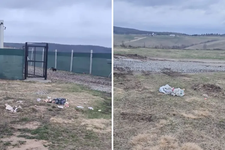 Nesimțirea n-are limite la Cluj! O femeie s-a trezit cu mormane de deșeuri în fața porții: „Dacă nu-ți permiți un coș de gunoi, vino că-ți dau eu” FOTO