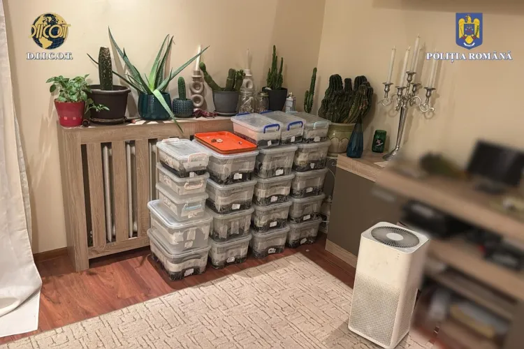 Captură impresionantă de stupefiante la Cluj! Polițiștii au găsit un laborator secret într-un apartament / Doi tineri, propuși pentru arestare FOTO