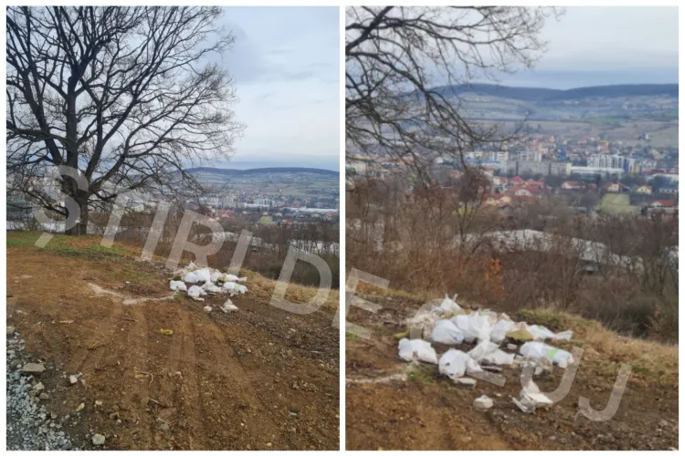 Clujul necivilizat! Morman de gunoaie lângă cel mai bătrân stejar din Cluj: ,,Este cel mai nepotrivit loc pentru a face așa ceva’’ FOTO 