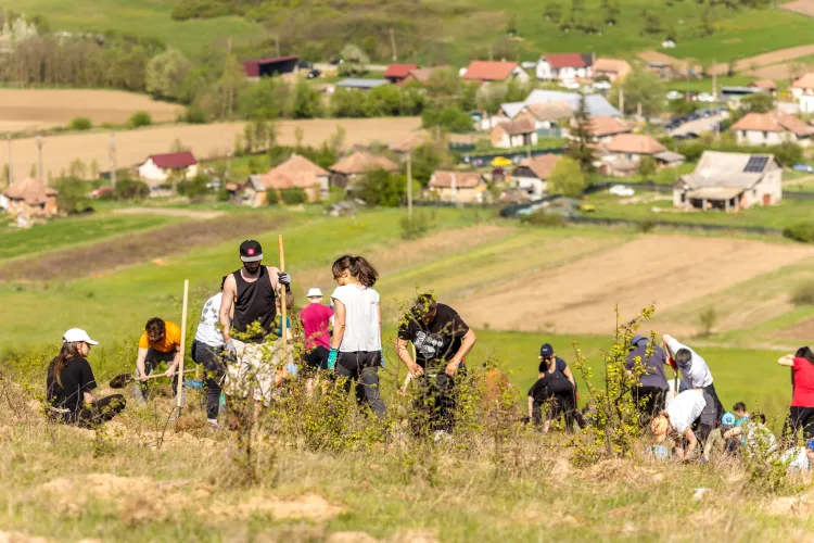 Ne gândim la viitor! ,,Bărboșii” de la Beard Brothers vor să planteze o mică pădure într-o localitate din Cluj. Poți ajuta și tu