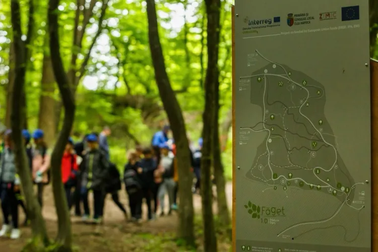 Cea mai frumoasă pădure a Clujului e acum premiată internațional: Ce anume i-a adus pădurii-parc recunoșterea internațională FOTO