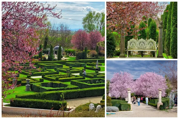 Magie de culori la cea mai frumoasă grădină din Ardeal! Pomii înfloriți atrag turiștii ca un magnet. Locul de basm se află la doar 2 ore de Cluj VIDEO/FOTO