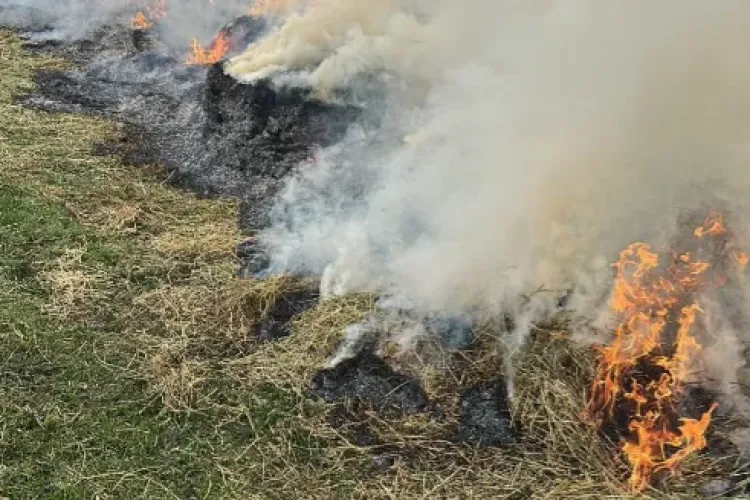 Incendiu pe o stradă din Cluj! Flăcările au fost la un pas să ajungă la un rezervor de GAZ. De la ce a pornit totul - FOTO 
