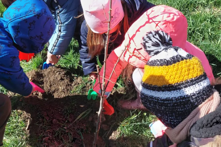 Un nou proiect educațional din Cluj încurajează copiii să folosească mijloacele de transport sustenabile! Cei mici învață și despre poluarea aerului 