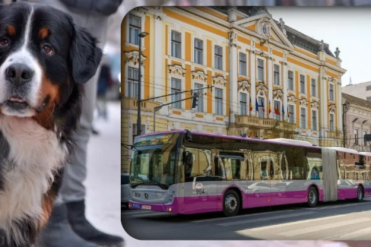 Propunerea inedită a unui clujean pentru transportul animalelor în autobuz: „Acum plătesc pe biletul cățelușului mai mult decât pe abonamentul meu!”