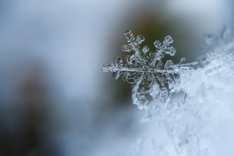 Ninge la Poarta Raiului: strat de zăpadă de câțiva centimetri la Șureanu VIDEO