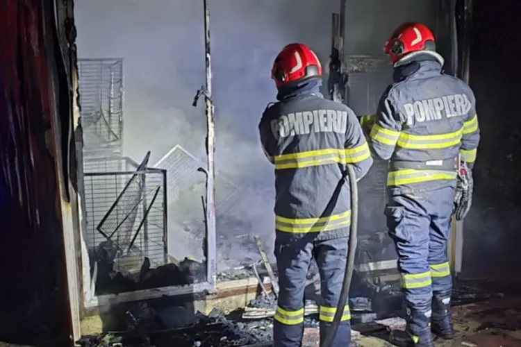 Cluj: Incendiu la un adăpost de câini! Doi căței n-au mai putut fi scoși dintre flăcări. Pompierii au intervenit de urgență