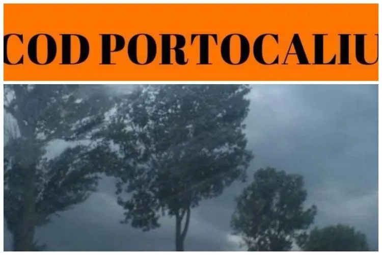 COD PORTOCALIU de vânt puternic la Cluj! A fost emis un mesaj RO-ALERT. Clujenii sunt sfătuiți să evite deplasările în aer liber