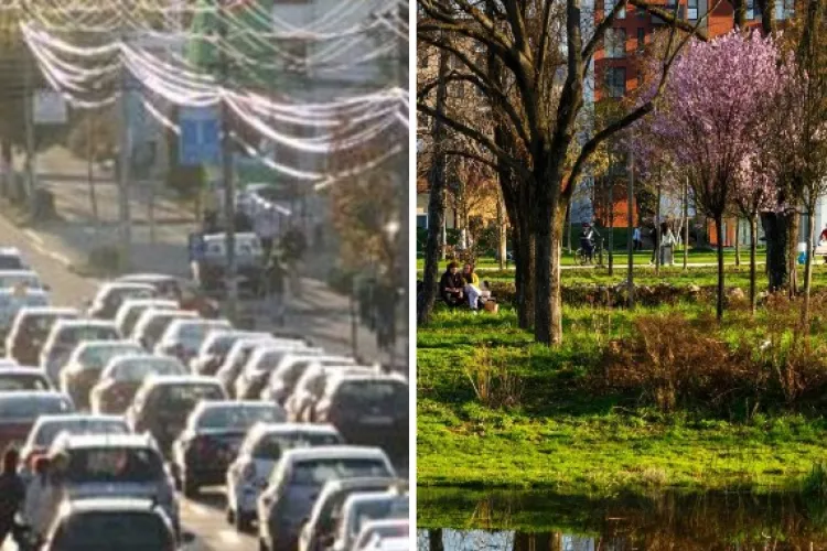 Clujenii s-au săturat de betoane și-și doresc un oraș mai verde: „Plantați arbori, flori, arbuști” 