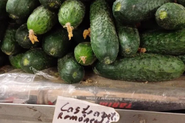 Absolut halucinant! Cât costă un kilogram de castraveți românești într-o piață din Cluj-Napoca. Sunt mai scumpi decât carnea - FOTO 