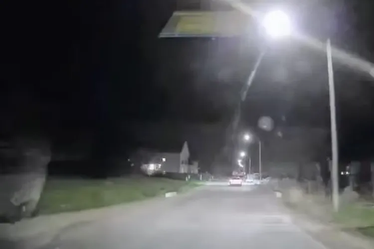 Atenție, șoferi! Căprioare „kamikaze” pe strada Ion Creangă din Chinteni VIDEO