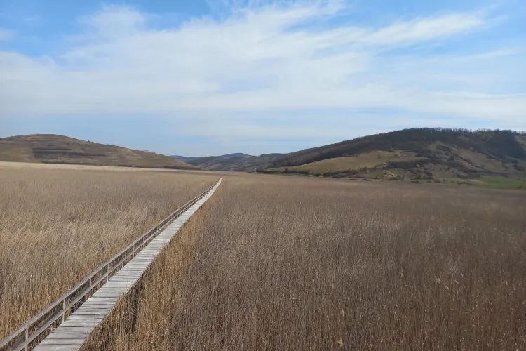 Turiștii sunt atrași ca un magnet de ,,Delta Transilvaniei”! Ce reacție a avut un tânăr din Israel după ce a vizitat paradisul din Cluj - FOTO 