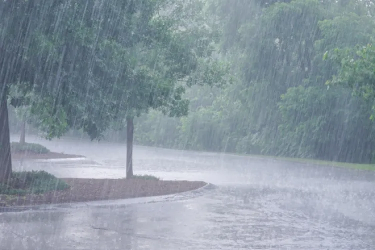 Avertizare IMEDIATĂ de ploi torențiale și descărcări electrice: Cluj-Napoca, Florești, Turda și alte localități din județ