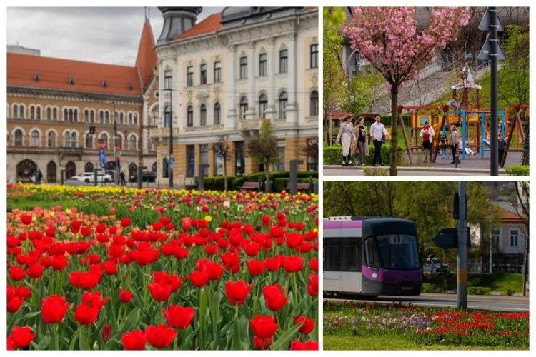 Clujul a înflorit: Primăvara și-a făcut apariția, iar orașul a devenit o grădină plină de culoare- Imagini cu Clujul în cea mai frumoasă perioadă FOTO