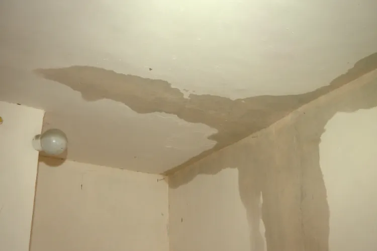 Dezastru într-un bloc din Cluj! Tavanul unui apartament s-a transformat în fântână arteziană. Proprietara e disperată: „Curge din ce în ce mai multă apă”