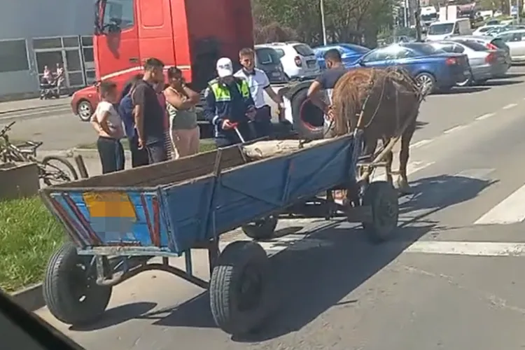 Cluj- Accident șocant: Bunic de 85 de ani accidentat grav, după ce a fost lovit pe trecerea de pietoni de o căruță condusă de un tânăr de 19 ani VIDEO