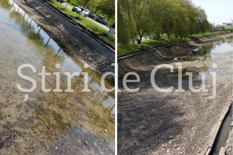 FOTO/VIDEO. Un loc plin de viață „îngropat” în uitare și mizerie! Se caută măsuri urgente: „S-au făcut o grămadă de sesizări, dar fără rezultat” 