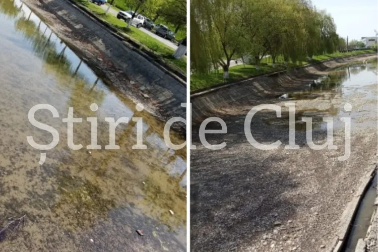 FOTO/VIDEO. Un loc plin de viață „îngropat” în uitare și mizerie! Se caută măsuri urgente: „S-au făcut o grămadă de sesizări, dar fără rezultat” 