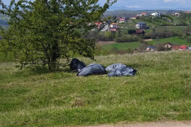 Cluj: „Vestitorii primăverii” în Feleacu sunt sacii de gunoi! Natura este sufocată de deșeuri: „Cum să-ți distrugi locul unde trăiești?”