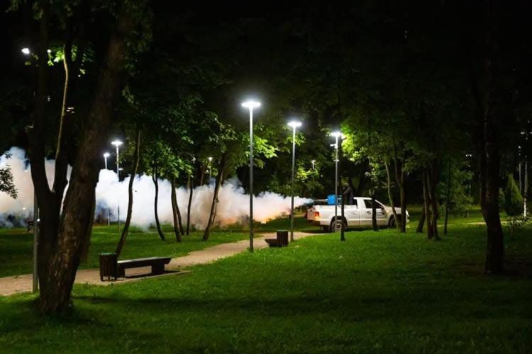 Nouă dezinsecție în Cluj-Napoca! Soluțiile folosite NU pun în pericol păsările și animalele de companie