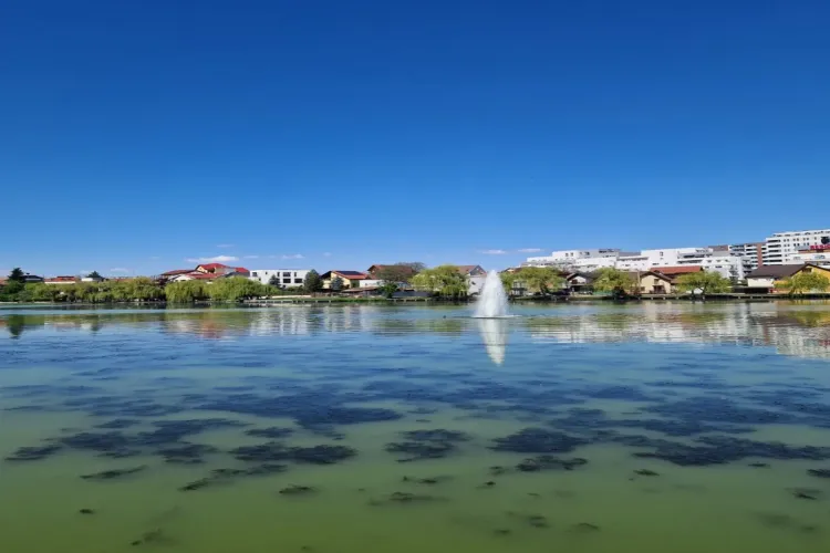 Clujul verde... dar putrezit! Vegetația sufocă lacul Gheorgheni, iar clujenii fug de miros: „Este tot mai greu de suportat” 