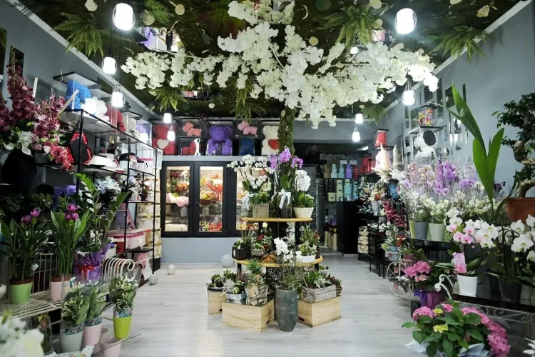 Primăria Cluj-Napoca a pus lacătul pe o florărie din Piața Mărăști! Au fost găsite nereguli grave / Ce au constatat autoritățile