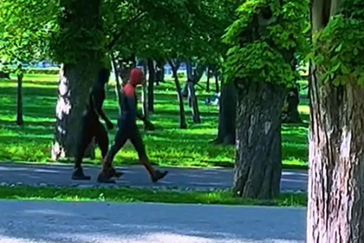 Spiderman a ieșit la o plimbare relaxată prin Parcul Central din Cluj, însoțit de încă un „supererou”: „Nimic neobișnuit: O zi normală la Cluj” VIDEO