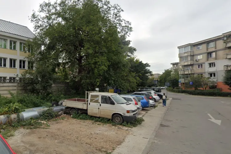 Cartier din Cluj-Napoca, luat cu asalt de indivizi dubioși! Beau în public, fac o mizerie de nedescris și FURĂ mâncarea pisicilor fără adăpost 