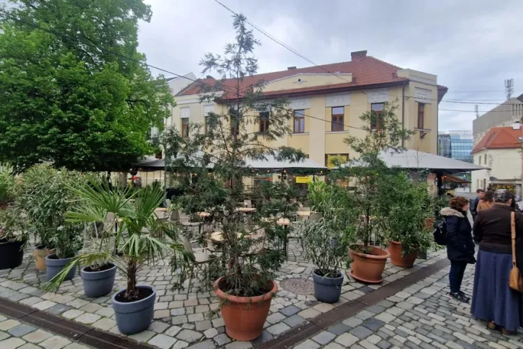 Centrul istoric al Clujului, urâțit de o terasă închisă cu plastic și palmieri! Clujenii sunt revoltați: „Arată ca un cort improvizat, ca în India”