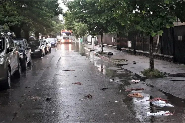 Locuitorii unui cartier select al Clujului s-au trezit cu o surpriză neplăcută după ploaia din weekend: ,,E plin de rahat pe stradă”