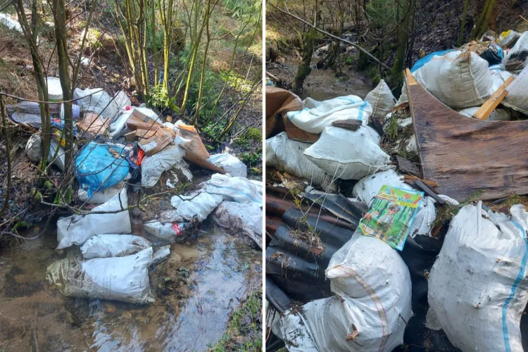 DEZASTRU ecologic în Cluj! Mormane de deșeuri, aruncate cu nesimțire în albia unui pârâu. Exista un risc major să ajungă în Lacul Beliș FOTO