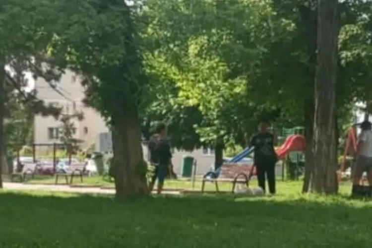 Cluj: Un bărbat a confundat parcul cu toaleta! Și-a făcut nevoile chiar lângă spațiul de joacă, ziua în amiaza mare: ,,În văzul tuturor”